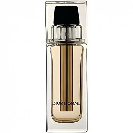 Dior Homme Voyage