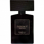 Fathom V